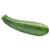 Zucchini Färsk